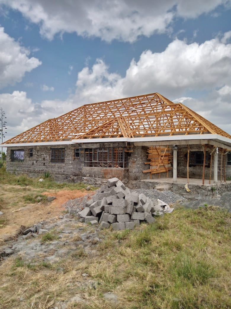 Home construction from the ground up (still ongoing)